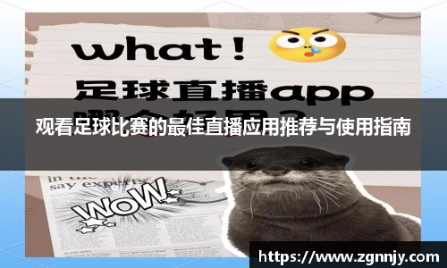 威九国际