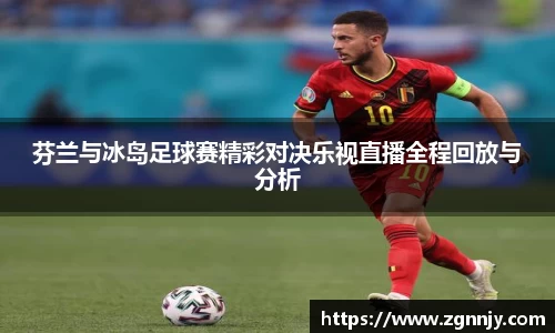 芬兰与冰岛足球赛精彩对决乐视直播全程回放与分析